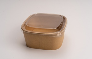 Tùy chỉnh Takeaway thực phẩm đóng gói nhựa thay thế dùng một lần hình chữ nhật giấy vuông salad <span class=keywords><strong>container</strong></span> bát - Product Image 4