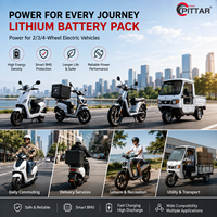 Batterie au lithium 76,8 V 50 Ah, design léger, prise en charge de la charge rapide, conçue pour les livreurs, les vélos de livraison de nourriture, les coursiers