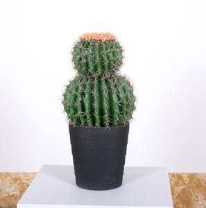 Plante tropicale Aménagement paysager PU Pole <span class=keywords><strong>Cactus</strong></span> <span class=keywords><strong>Colonne</strong></span> Rempotage Grande Simulation <span class=keywords><strong>Cactus</strong></span> Plantes du désert - Product Image 3