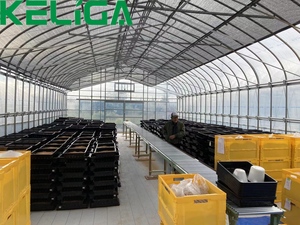 Serres tunnel de bonne qualité avec tour hydroponique Poly Tunnel serre verte pour tomates <span class=keywords><strong>à</strong></span> <span class=keywords><strong>vendre</strong></span> - Product Image 3