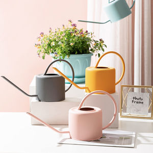 1L multicolore annaffiatoio in acciaio inox metallo annaffiatoio da giardino per Bonsai