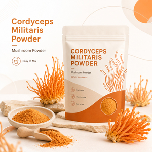 Private <b>Label</b> Premium Halal Organic Cordyceps Militaris Mushroom Extract Powder Herbal Supplement Improve Immunity Antioxidant - Product Image 3