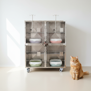 Cage d'isolement en acier inoxydable pour animaux – Équipement médical pour cliniques vétérinaires et hôpitaux pour animaux - Product Image 1