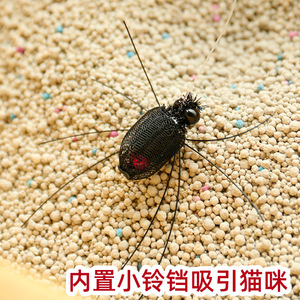 Testina di Ricambio per Giocattolo Teaser per Gatti, Insetto Realistico, Giocattolo Auto-intrattenente per Gatti, Accessori per Animali Domestici, Carino - Product Image 5