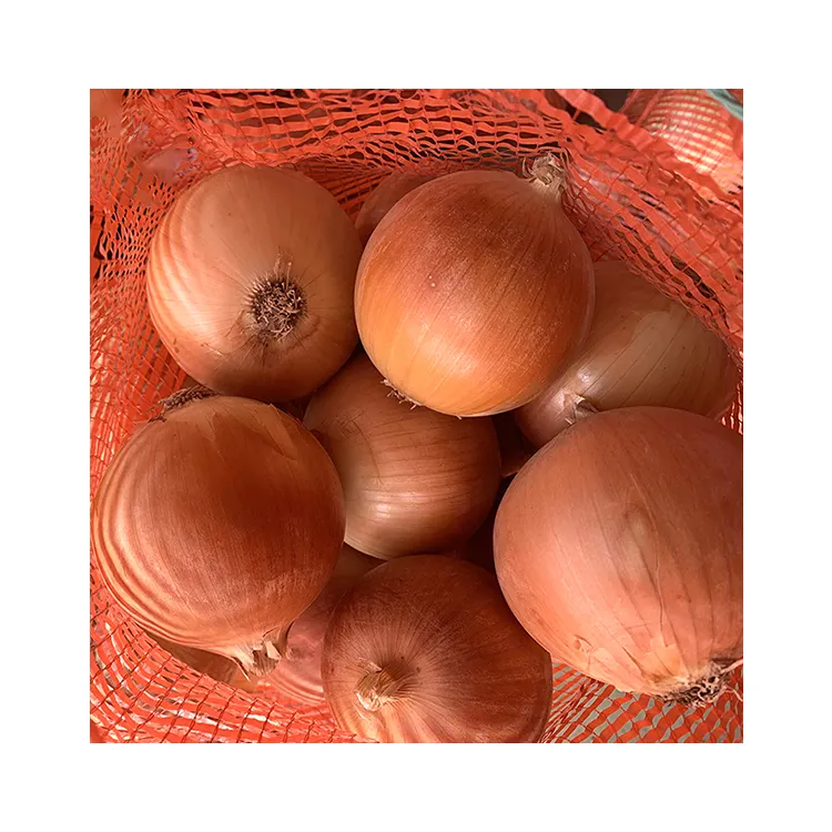 2021 nuova stagione vendita cipolle rosse fornitore della cina fornitore fattoria piantare cipolle fresche