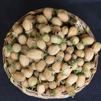 Vente en gros de fleurs d'oranger séchées agrumes Aurantium thé de fleurs Dai Dai Hua séville thé de fleurs d'oranger amer sec