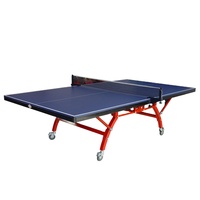 Tennis de Table d'intérieur, Table de Tennis, qualité supérieure, 1 pièce