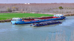 완전 맞춤형 90m 내륙 강 화물선 내륙 강 LNG 연료 컨테이너선 화물선 선박 - Product Image 4