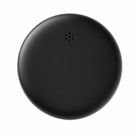 Traceur Bluetooth pour animaux de compagnie, étanche IP67, pour chien, chat, chiot, chaton, anti-perte bidirectionnel, localisateur intelligent, collier, chercheur d'objets pour iOS