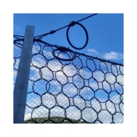 Sistem Perlindungan Jatuhnya Batu Pasif 1770MPa, Jaring Kawat Baja Galvanis Diamond Mesh Ring Net Barrier Standar RX-025 RX-050 RX-075