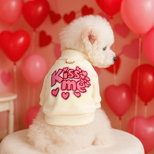 Nouveaux vêtements d'automne/hiver pour petits chiens, chiots et chats - chemises roses à col rond, chaudes, confortables et mignonnes. - Product Image 1