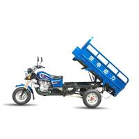 Tricycle à charge lourde 200cc 250cc conçu pour la logistique rurale - Moto-tricycle de ferme à marché