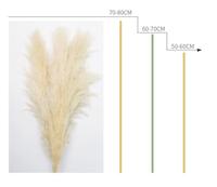 Venta caliente Pampas Grass Wreath Decoración de flores secas naturales para el Año Nuevo chino Pascua Hierba decorativa real en bolsa de plástico