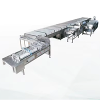 Nouvelle machine de moulage automatique de barres céréalières et de chocolat Golden Manufacturer avec noix, haute productivité
