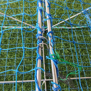Customized Commercial Square Metal Frame Crab Trap <strong>Pot</strong> Net Bait PE Material <strong>for</strong> <strong>Lobster</strong> and Fish Aquaculture <strong>Sales</strong> - Product Image 4