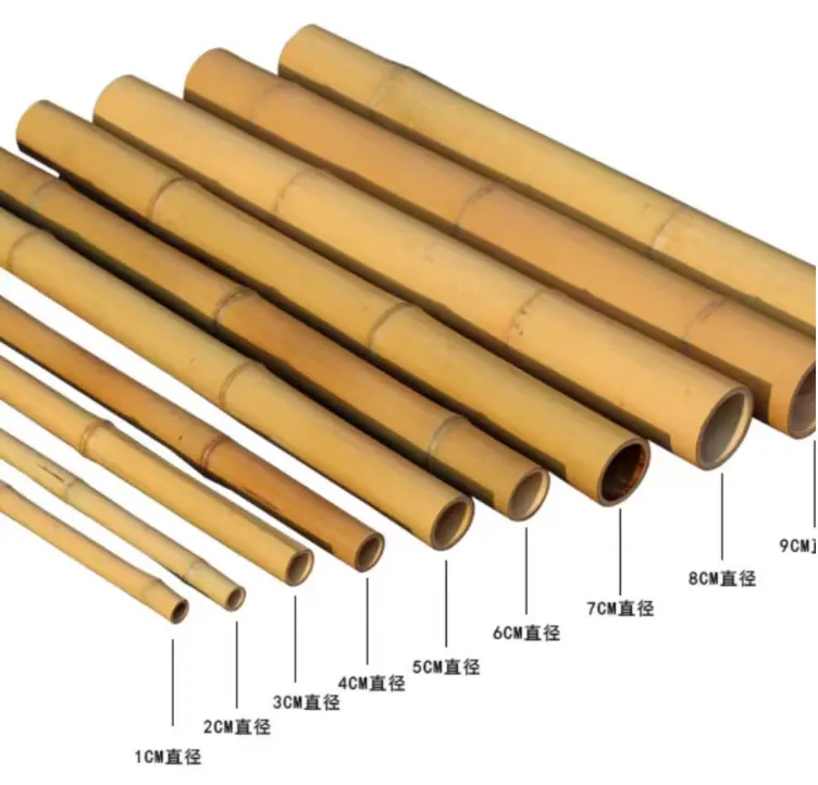 Canne di bambù pali di bambù materie prime di bambù dalla Cina