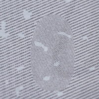 Certificat Filigrane de Haute Qualité, Certificat Microtexte, Certificat Invisible Anti-contrefaçon UV, Hologramme en H