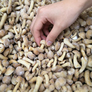 <span class=keywords><strong>Prix</strong></span> de gros IQF Champignons Nameko surgelés en vrac Biologique Sain Naturel 100% Nameko surgelé avec vente directe d'usine - Product Image 1