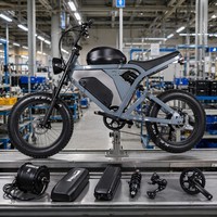 Sepeda Listrik Jarak Jauh 750W Baterai Ganda 48V 15AH Ban Tebal 20" Rangka Aluminium 6061 7 Speed E-Bike
