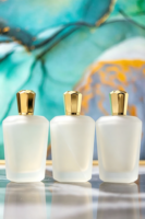Parfum féminin élégant et durable, directement de l'usine, idéal pour les voyages et les cadeaux