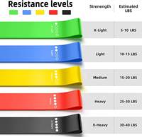 Juego de Bandas de Resistencia de Látex de Alta Calidad al por Mayor, Ecológicas, Ligeras, Duraderas, Impermeables y Portátiles para Adultos
