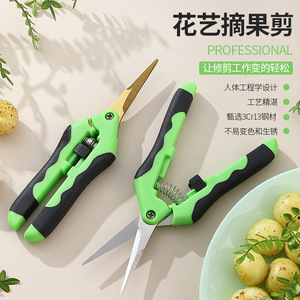 Cisailles de jardin Pinheng 48 mm en acier inoxydable, design papillon, pour la taille des arbres fruitiers - Product Image 1