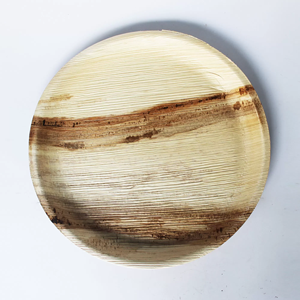 Plato de bagazo compostable de 10 pulgadas, vajilla desechable duradera para comidas, eventos y catering - Product Image 1