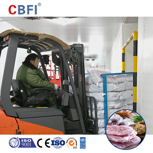 Projet de chambre froide personnalisée, conteneur de congélation, chambre froide à congélation rapide, avec une capacité minimale de 500 mètres cubes - Product Image 6