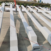 Poteau d'éclairage solaire intelligent intégré FORIDO en alliage d'aluminium pour l'éclairage urbain sécurisé des caméras de vidéosurveillance et des routes