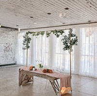 Structure d'arche métallique pour mariage, support d'arche en fer robuste pour toile de fond de cérémonie de mariage, décoration florale pour événements et fêtes