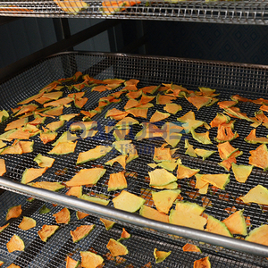 Large Scale Fruit Drying Room Hamimelon Dehydrator Machine Hami Melon <b>Dehumidifier</b> Processing Machinery - Product Image 3