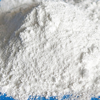 Pigment Blanc de Qualité Industrielle à Bas Prix 28%-30% Lithopone B311 B301 CAS 1345-05-7 Origine US
