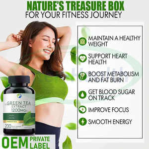 Capsules d'extrait de thé vert matcha biologique OEM ASAP - Complément alimentaire antioxydant brûleur de graisse pour adultes - Product Image 3