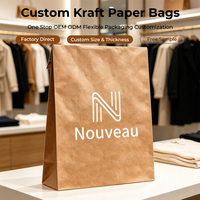 Fournisseur de pochettes en papier kraft biodégradable OEM ODM, solution d'emballage écologique et durable personnalisée pour chaussures