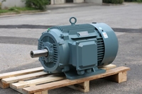 Moteur à induction électrique Weg 20hp 220V AC 10hp 15kw 0.5hp Moteur 1500rpm Vitesse triphasée nominale