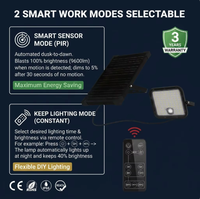 Projecteur solaire écologique IP65 à 9600 lm, sans frais de fonctionnement, facture d'électricité de 0 $, pour bâtiments commerciaux, jardins et allées