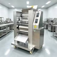 Machine polyvalente pour la fabrication de perles de manioc, idéale pour les boulettes de riz gluant et les boulettes de fécule pour desserts