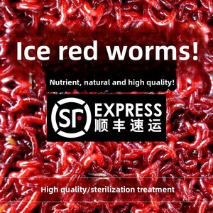 Sấm rồng 500g thức ăn vật nuôi-Giun Đỏ đông lạnh và thức ăn cho cá bao gồm cả giun máu tuyến trùng đỏ tôm nước muối luohan thức ăn cho cá - Product Image 5