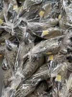 Leurre de canard colvert artificiel à mouvement réaliste, corps en mousse EVA personnalisable, léger, durable toute saison, écologique, résistant à l'eau
