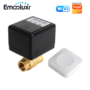 Sistema de protección contra fugas de agua inalámbrico alimentado por baterías con válvula eléctrica DN15(1/2 pulgadas) y Sensor de agua WiFi tuya para fugas - Product Image 1