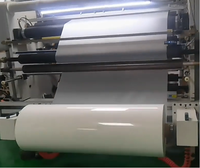Film d'impression DTF à bon prix, transfert thermique double face facile à décoller, rouleau de 60 cm x 100 m, matière première pour vêtements