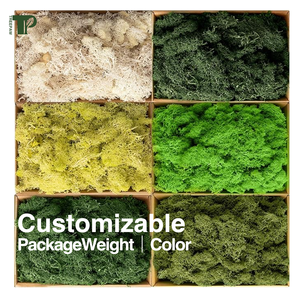 Véritable forêt <span class=keywords><strong>stabilisée</strong></span> artificielle renne irlandais conservé mousse mousse naturelle kit de bricolage mousse artisanat Art décoration murale fleuriste décor - Product Image 4