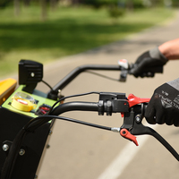 Mini Dumper AUSTTER Chinois 500 kg, Chargeuse de Ferme à Batterie 4 Roues, Brouette Électrique