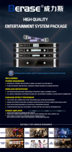 Âm Thanh Chuyên Nghiệp Hệ Thống Thiết Lập Berase Giai Đoạn Microphone Hiệu Lực Khuếch Đại Công Suất Chất Lượng Cao Thiết Bị Âm Thanh - Product Image 4