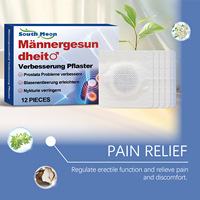 Patchs de Soutien Prostatique pour Hommes Marque Blanche – 12 Pièces, Adhésifs à Base de Plantes pour le Soin de la Vessie, OEM ODM, Soutien Quotidien pour la Santé Urinaire