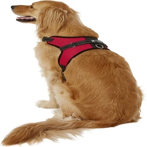 Arnés Ajustable para Perro con Cintas Personalizadas, Diseño Clásico para Exteriores, Asa de Control, Reflectante, de Nailon Sólido - Product Image 1