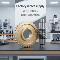 Assemblages d'engrenages à vis sans fin non standard OEM - Fabriqués sur mesure pour les convoyeurs, les élévateurs et les machines