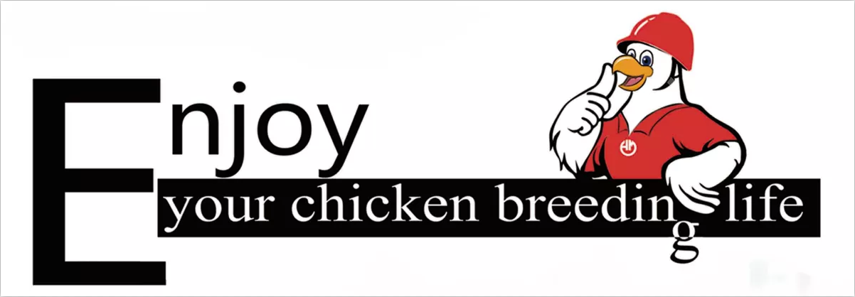 Poultry Farming Automatic Chicken Feeding Pan System Broiler Breeder Feeding Line