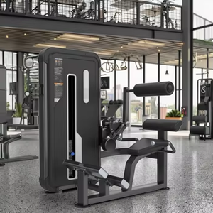 Equipo de Gimnasio Comercial, Soporte Lumbar Ajustable con Peso, Certificación CE <span class=keywords><strong>GS</strong></span>, Servicio OEM Disponible, Máquina de Selección de Carga con Pasadores - Product Image 3