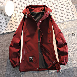 Chaqueta de exterior con logotipo personalizado para hombre, tres en uno, desmontable, cortavientos, impermeable, acolchada, cálida, para parejas, ropa de montañismo. - Product Image 4